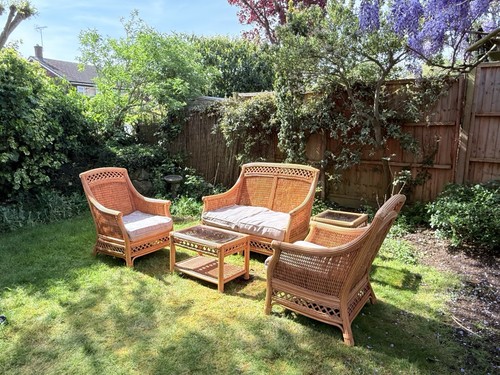 Beautiful vintage cane - vintage,